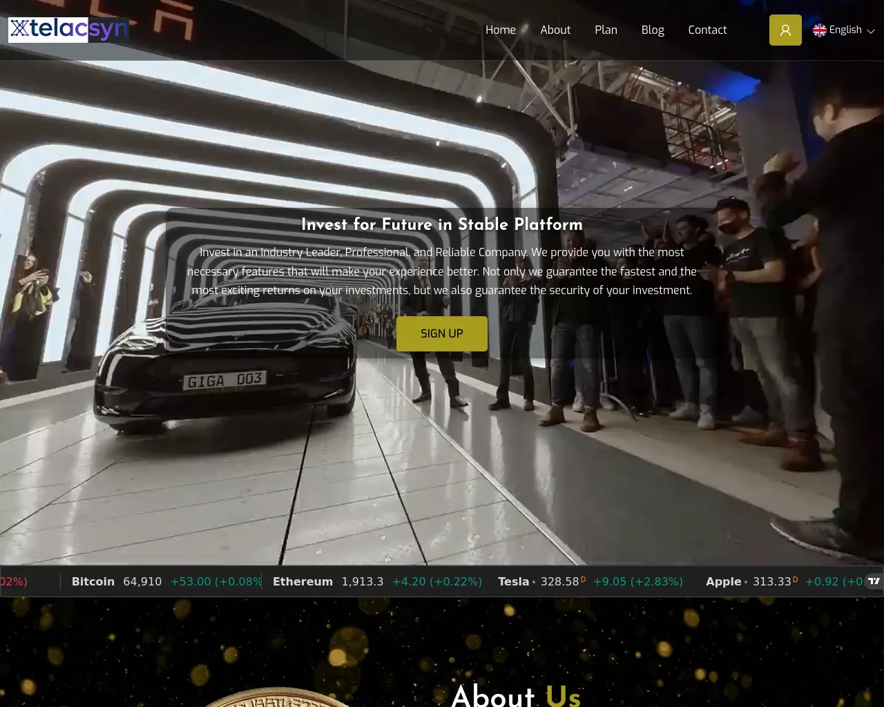 Screenshot of xtelacsyn.com
