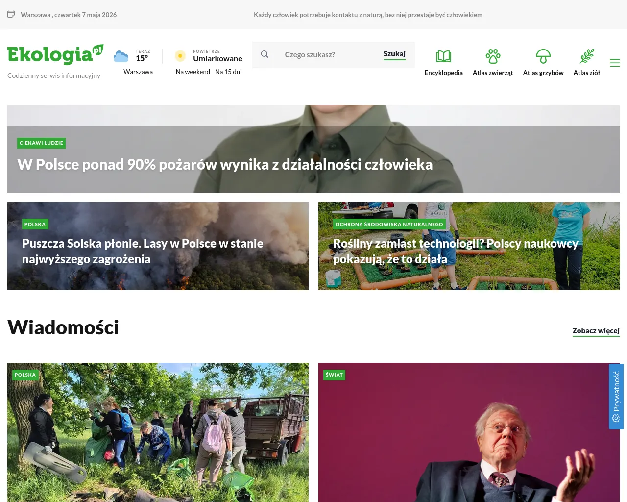 Screenshot of anoartistry.com