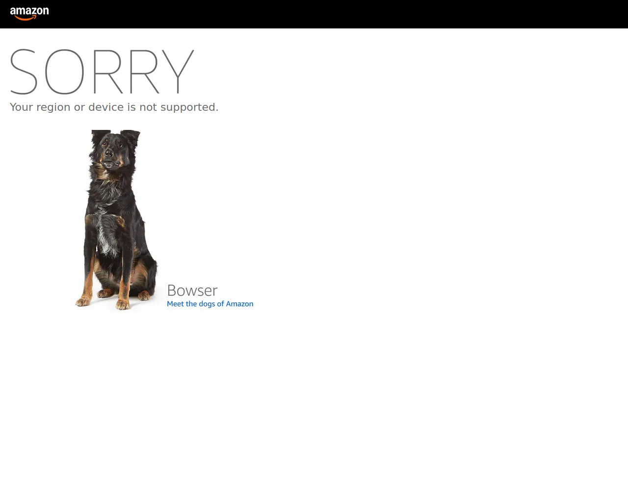 Screenshot of torvex7.vip