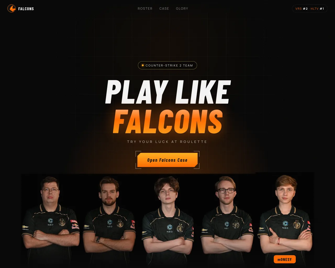 Screenshot of falconspro.org