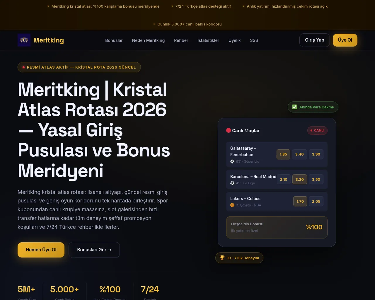 Screenshot of mertiking506951.com