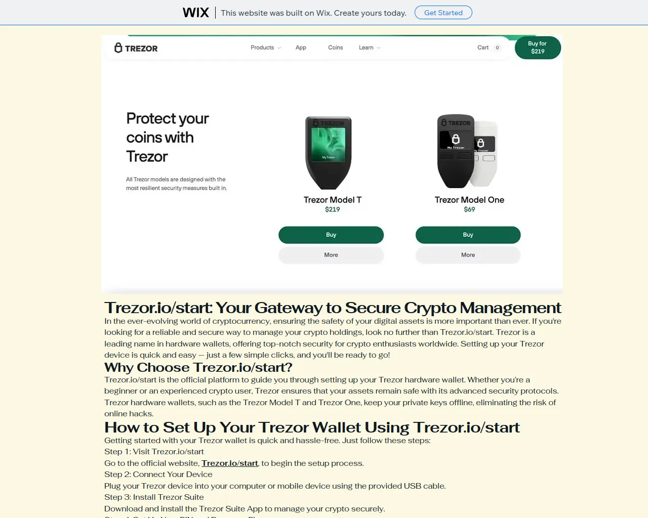 Screenshot of trezriostart.wixsite.com