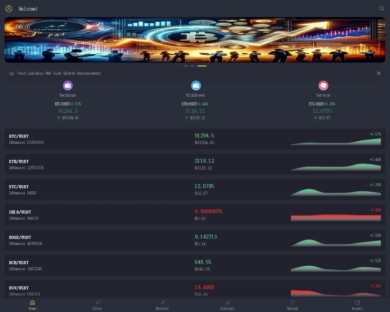 Screenshot of ryochain.online