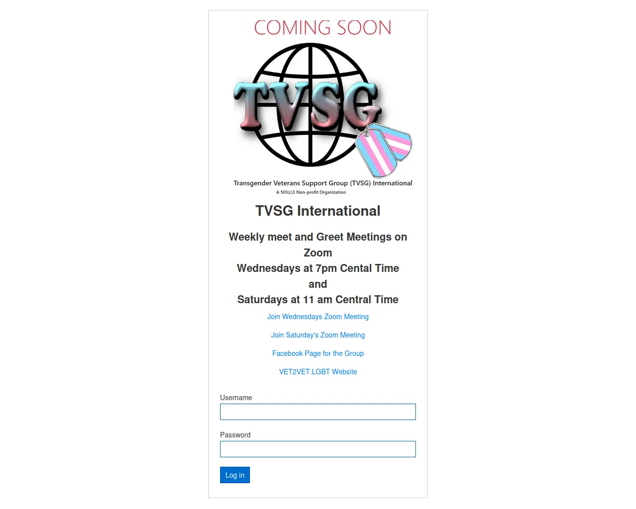 Screenshot of tvsgintl.org