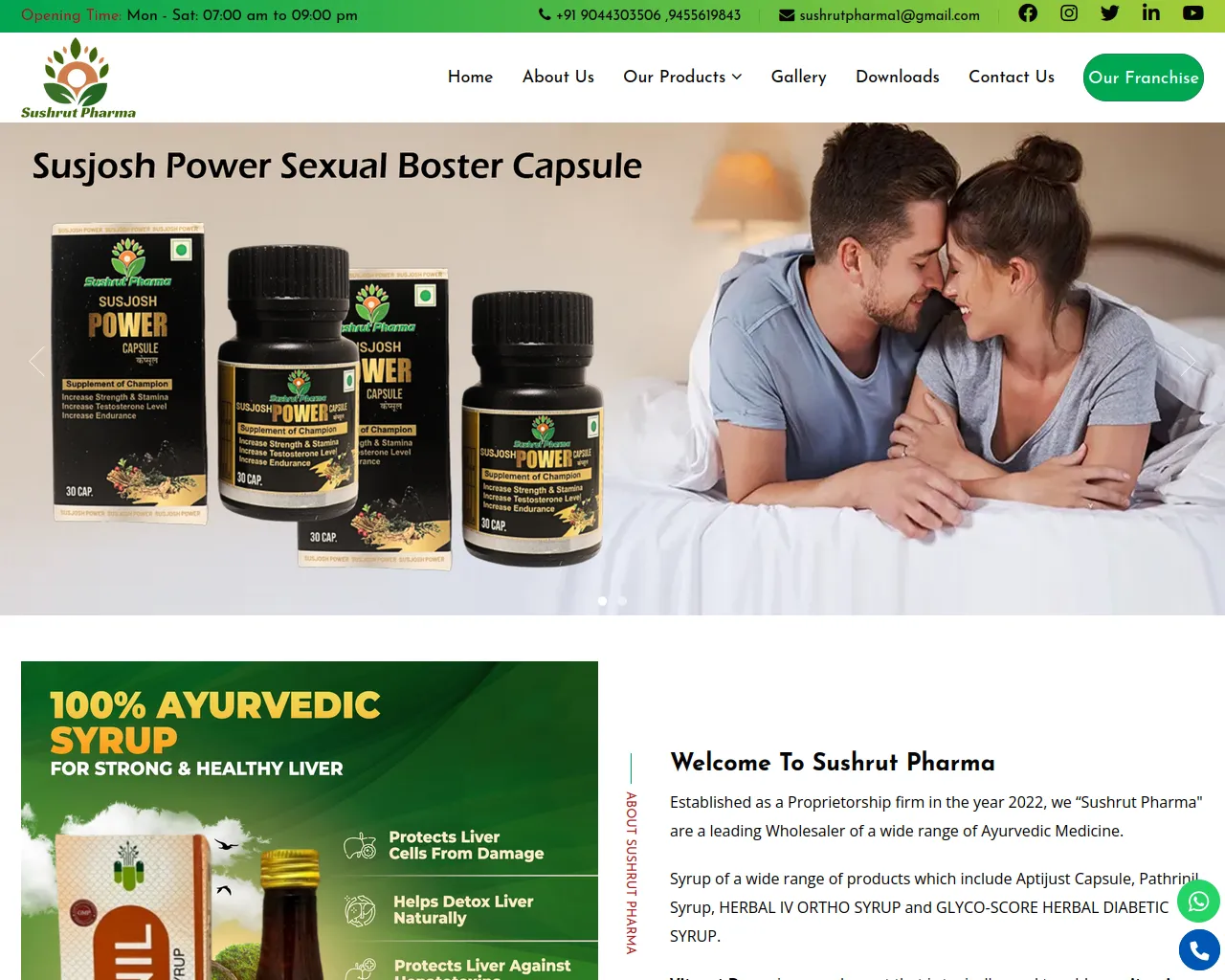 Screenshot of sushrutpharma.in