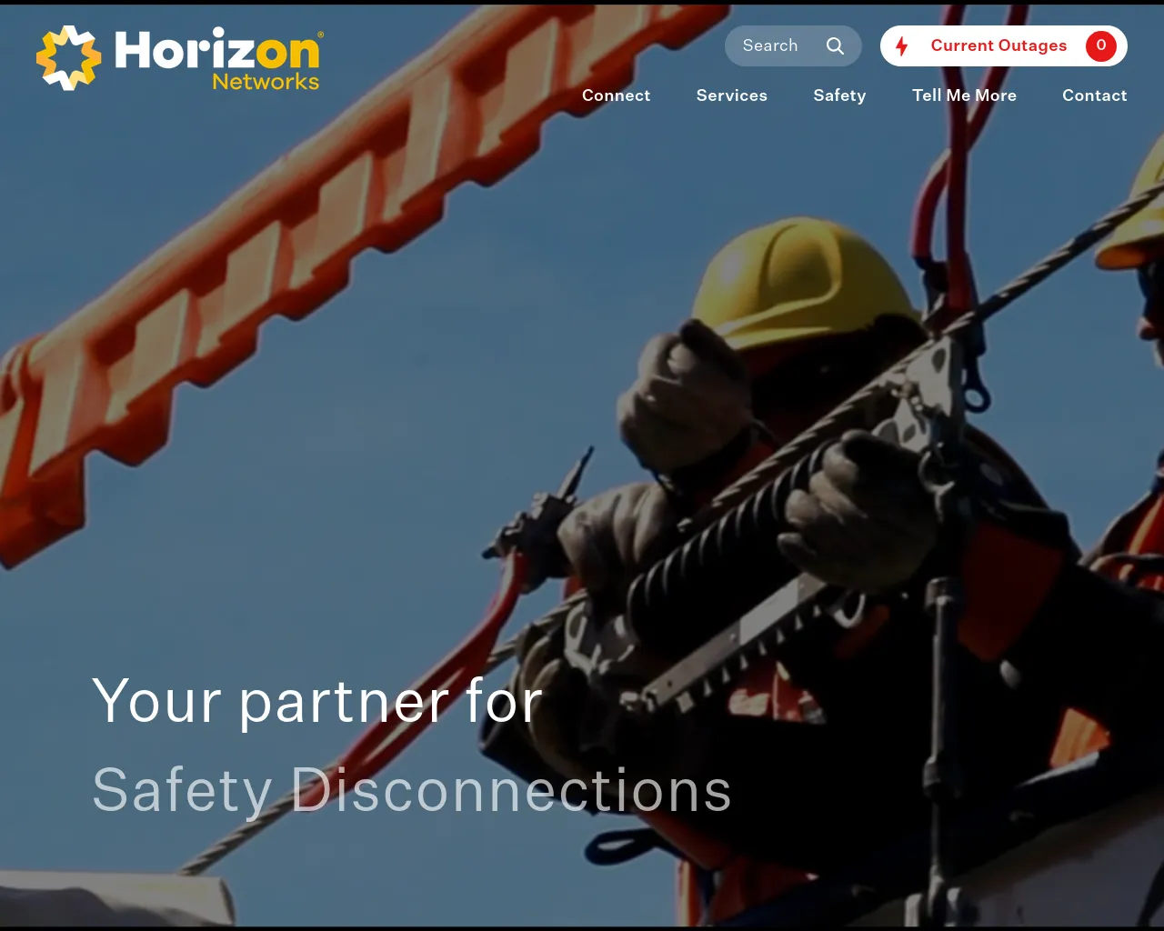 Screenshot of horizonnetworks.nz