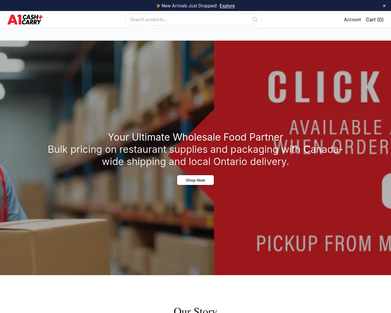 Screenshot of a1cashstore.shop