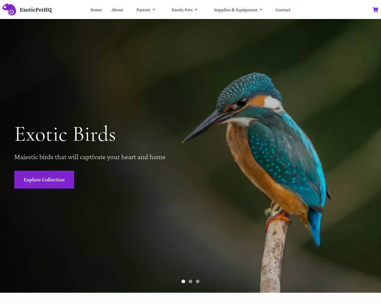 Screenshot of exoticpethq.com