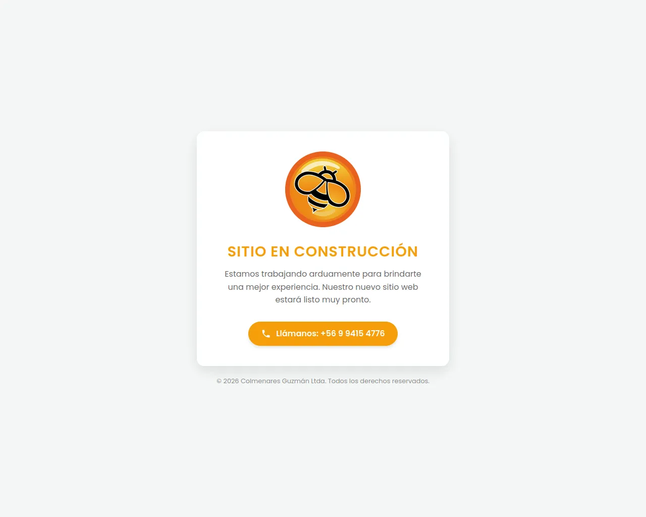 Screenshot of colmenaresguzman.cl