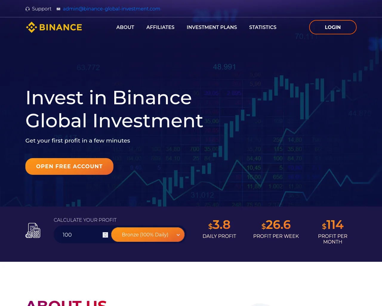Screenshot of binance-global-investment.com