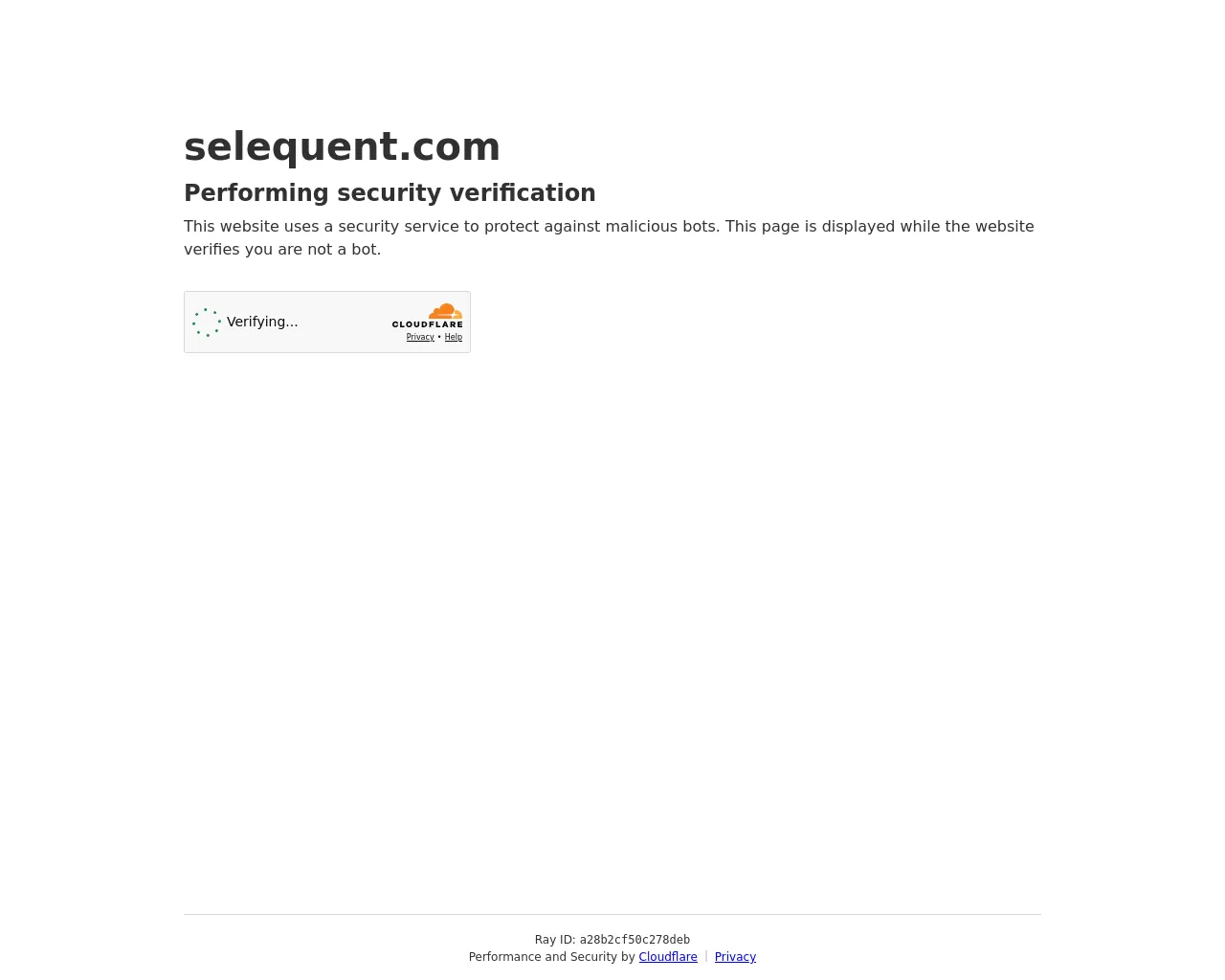 Screenshot of selequent.com