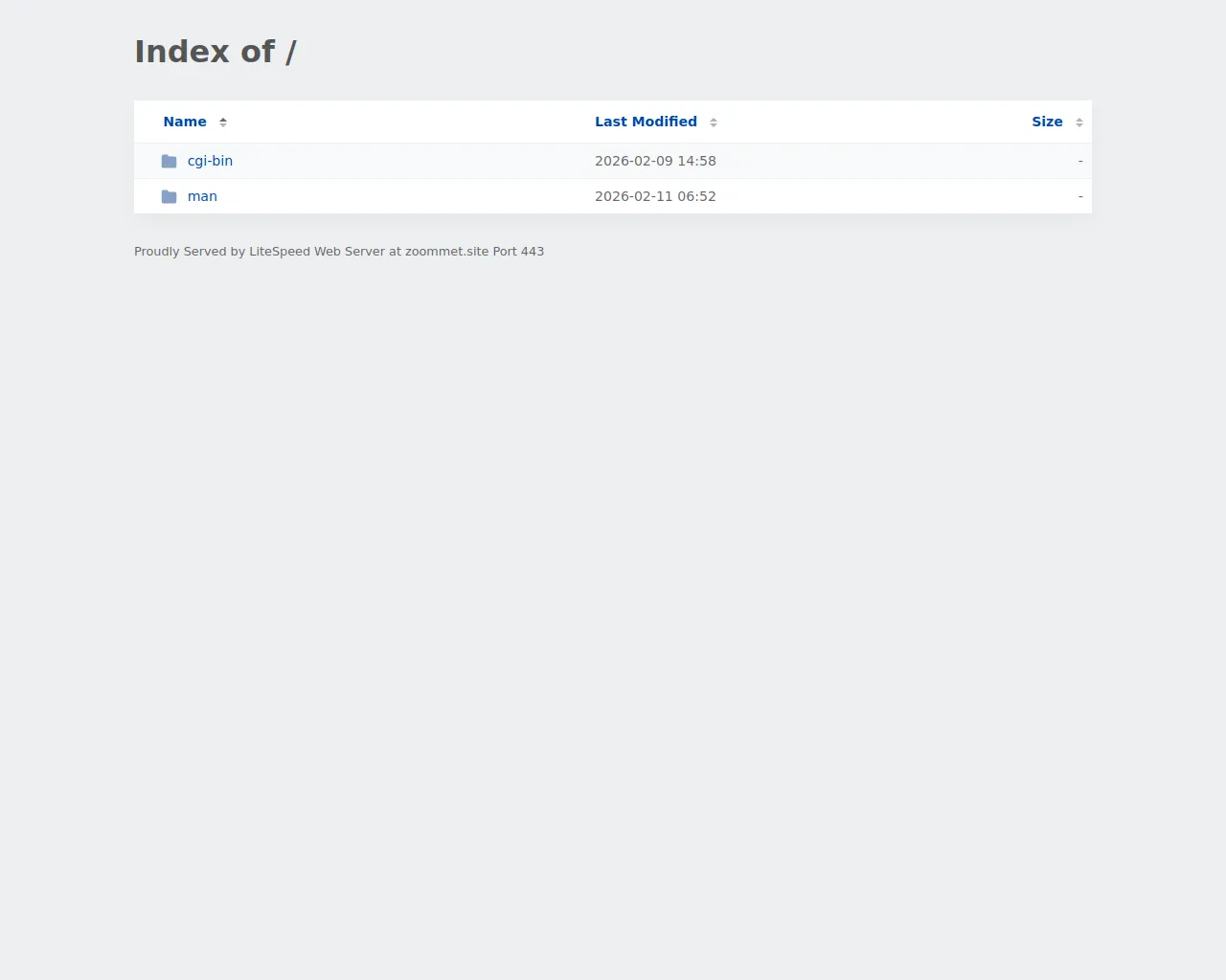 Screenshot of zoommet.site