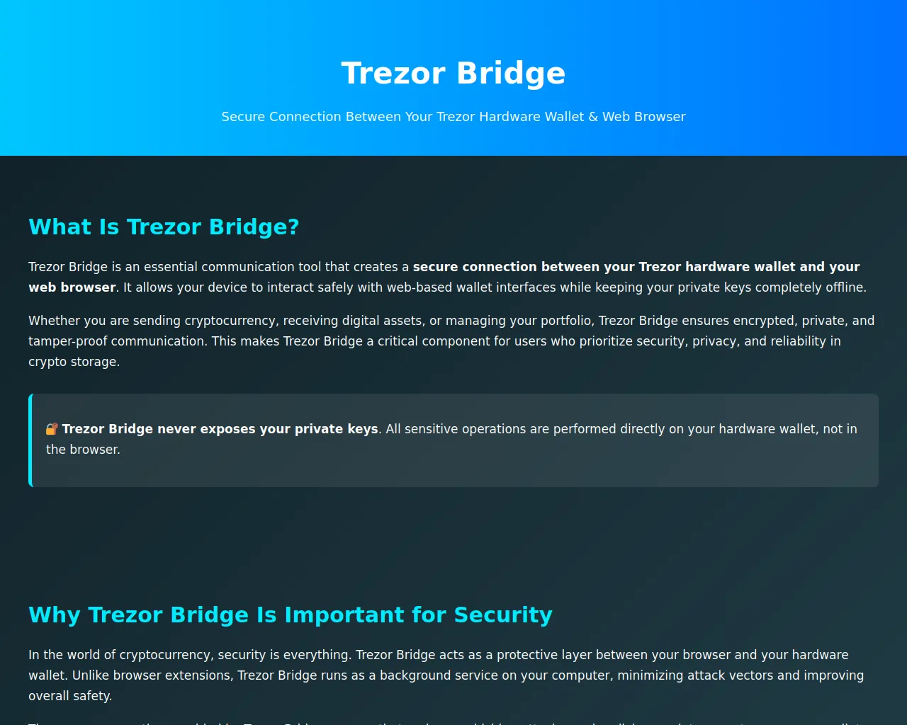 Screenshot of uss-trzer-bryge.wasmer.app
