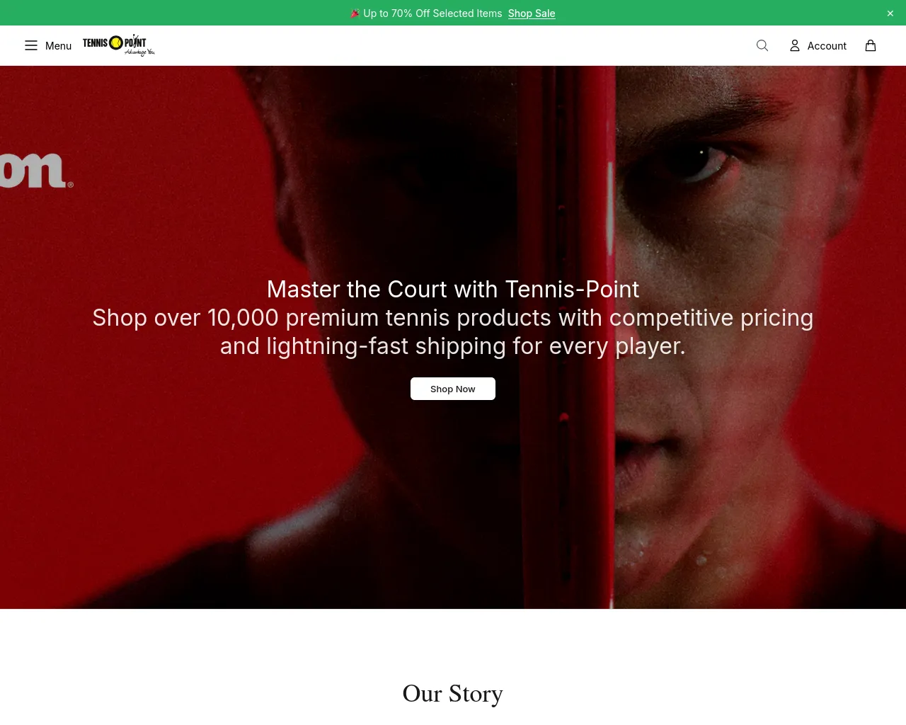 Screenshot of acepoint.shop