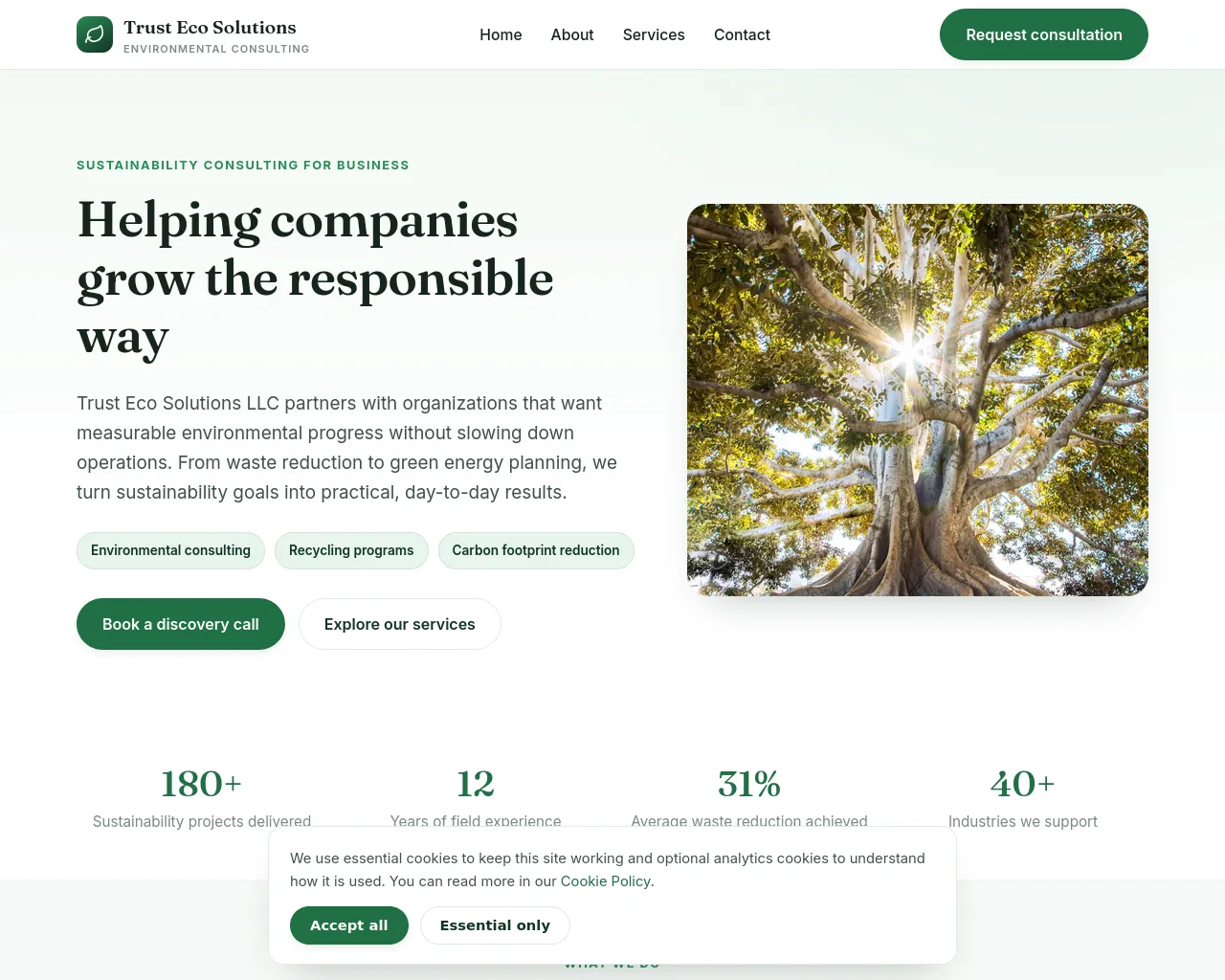 Screenshot of promo-company.com