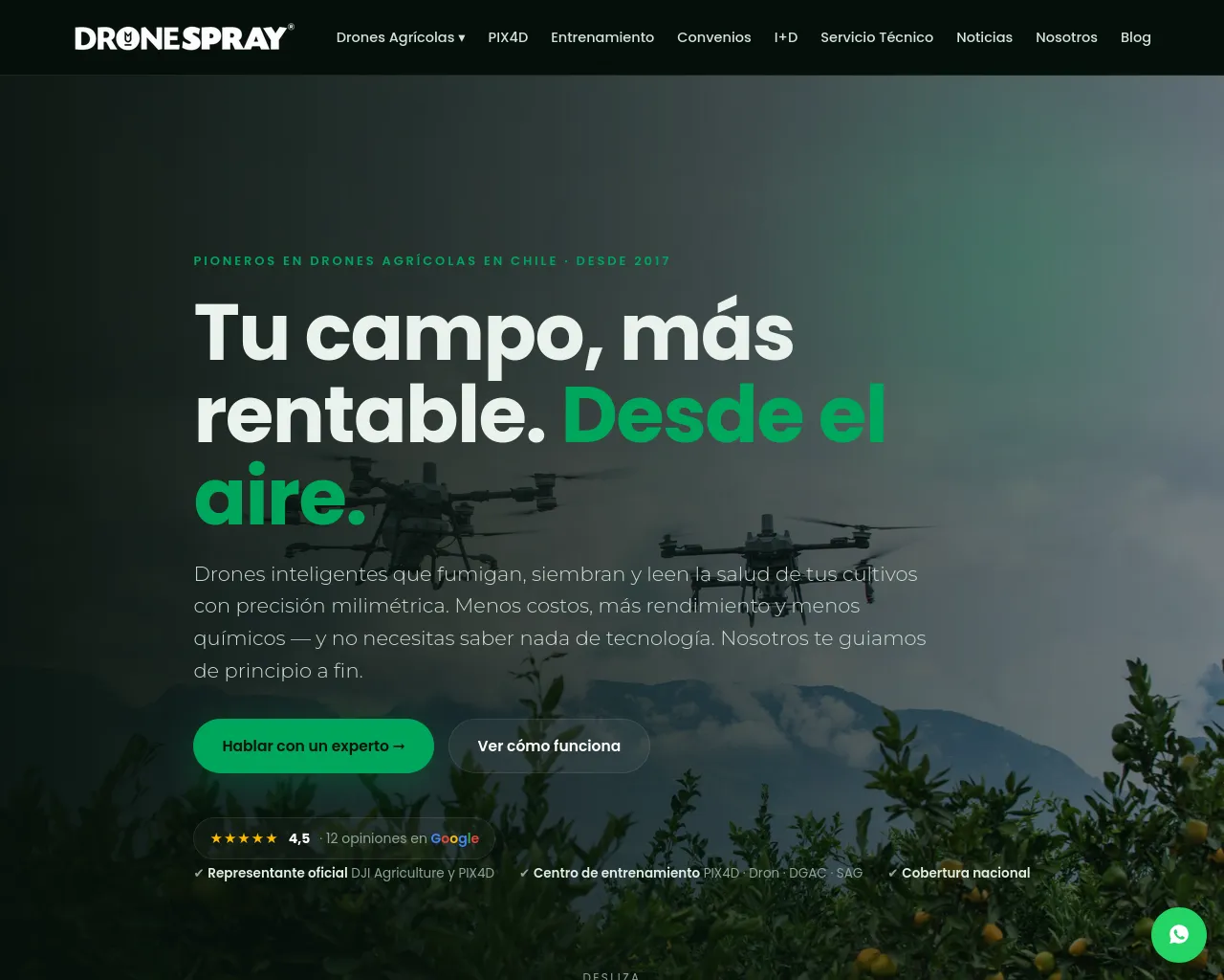 Screenshot of dronespray.cl