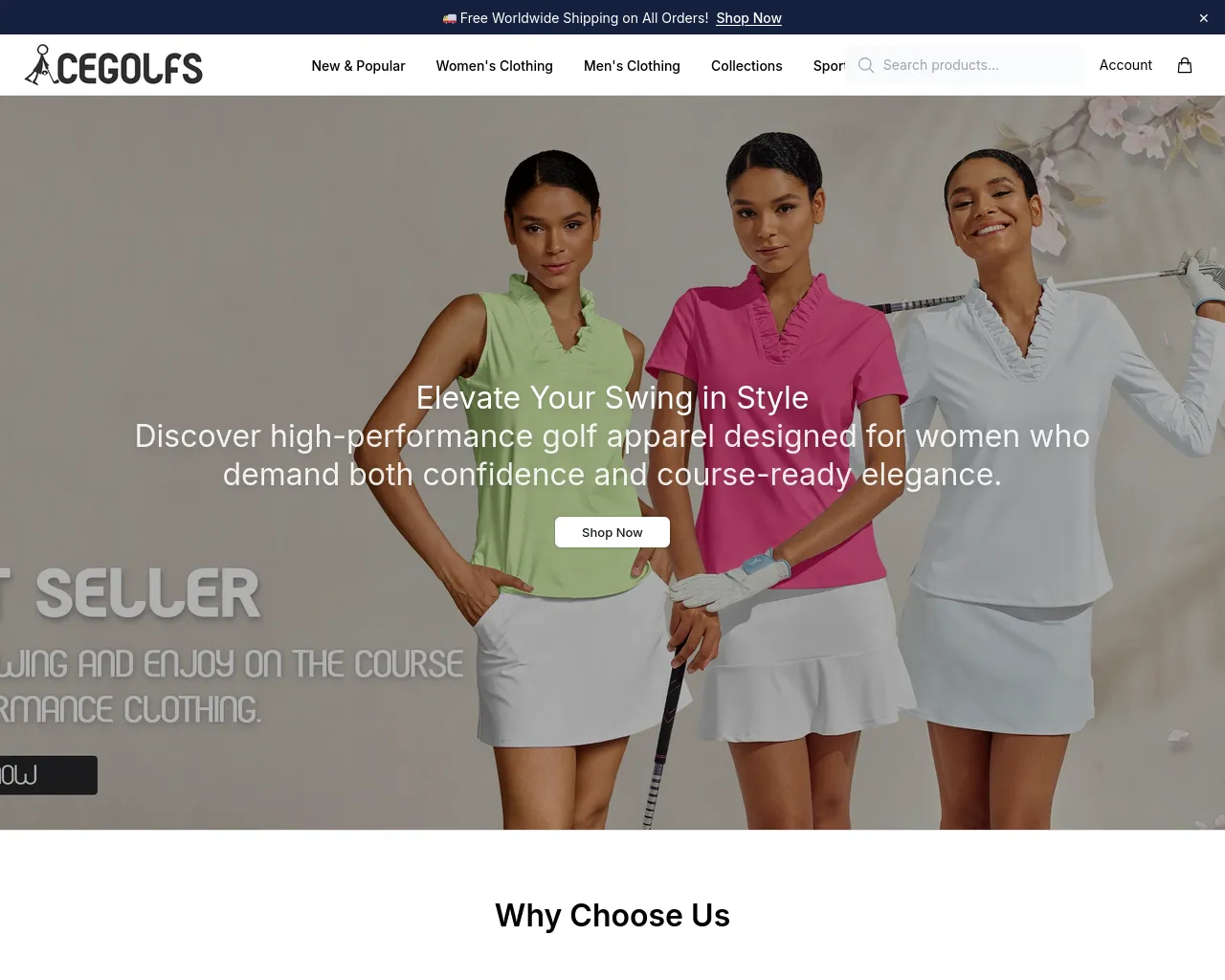 Screenshot of acegolfsonline.shop