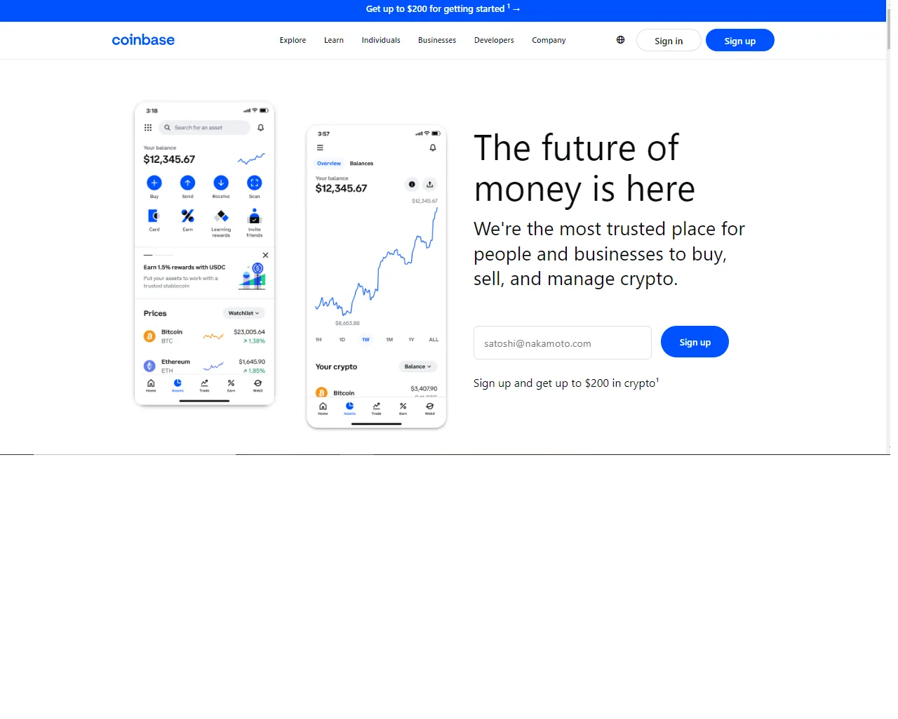 Screenshot of coinbsewalletextensione.webflow.io