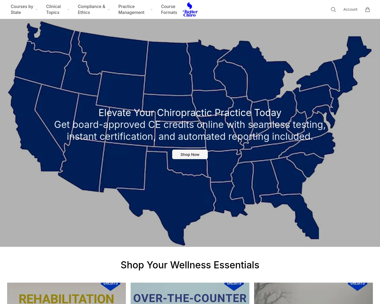 Screenshot of abetterchiroco.shop