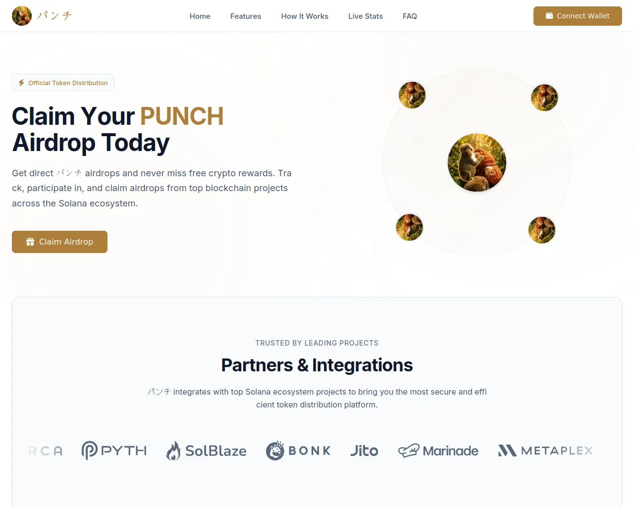 Screenshot of allocate-punch.com