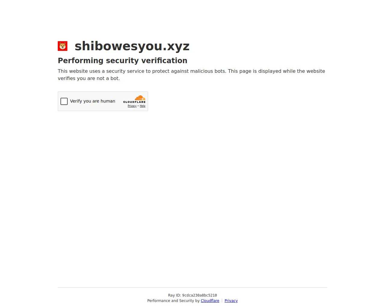 Screenshot of shibowesyou.xyz