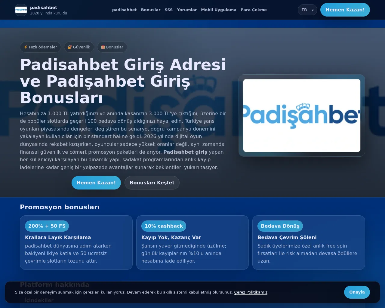 Screenshot of epingenc.com.tr