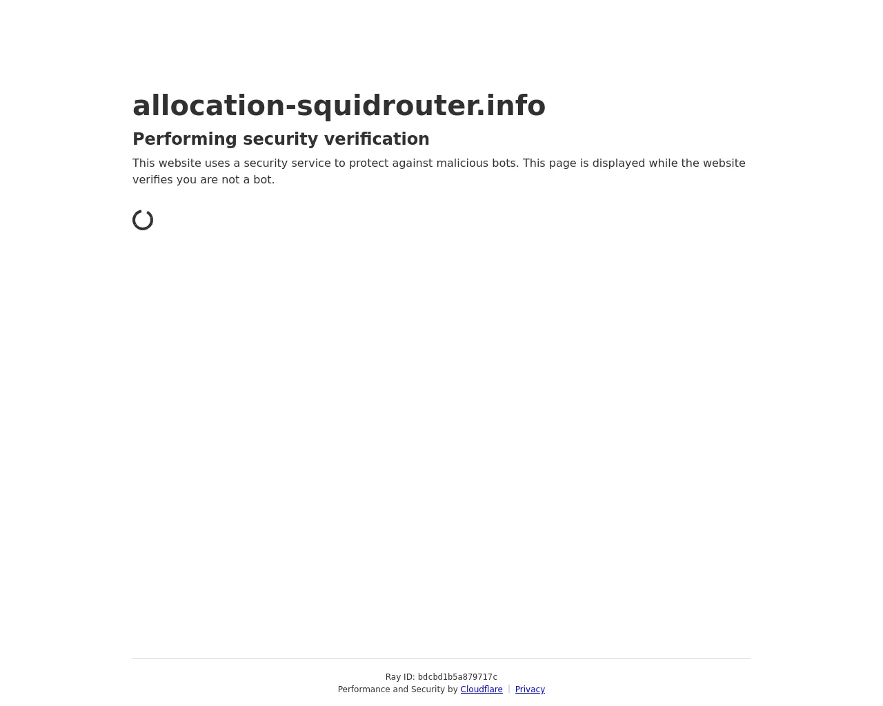 Screenshot of allocation-squidrouter.info