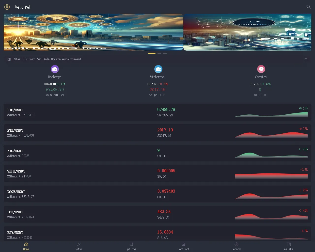 Screenshot of starlinkchain.com