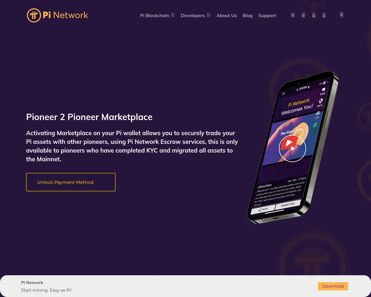 Screenshot of payunlockpinet.com