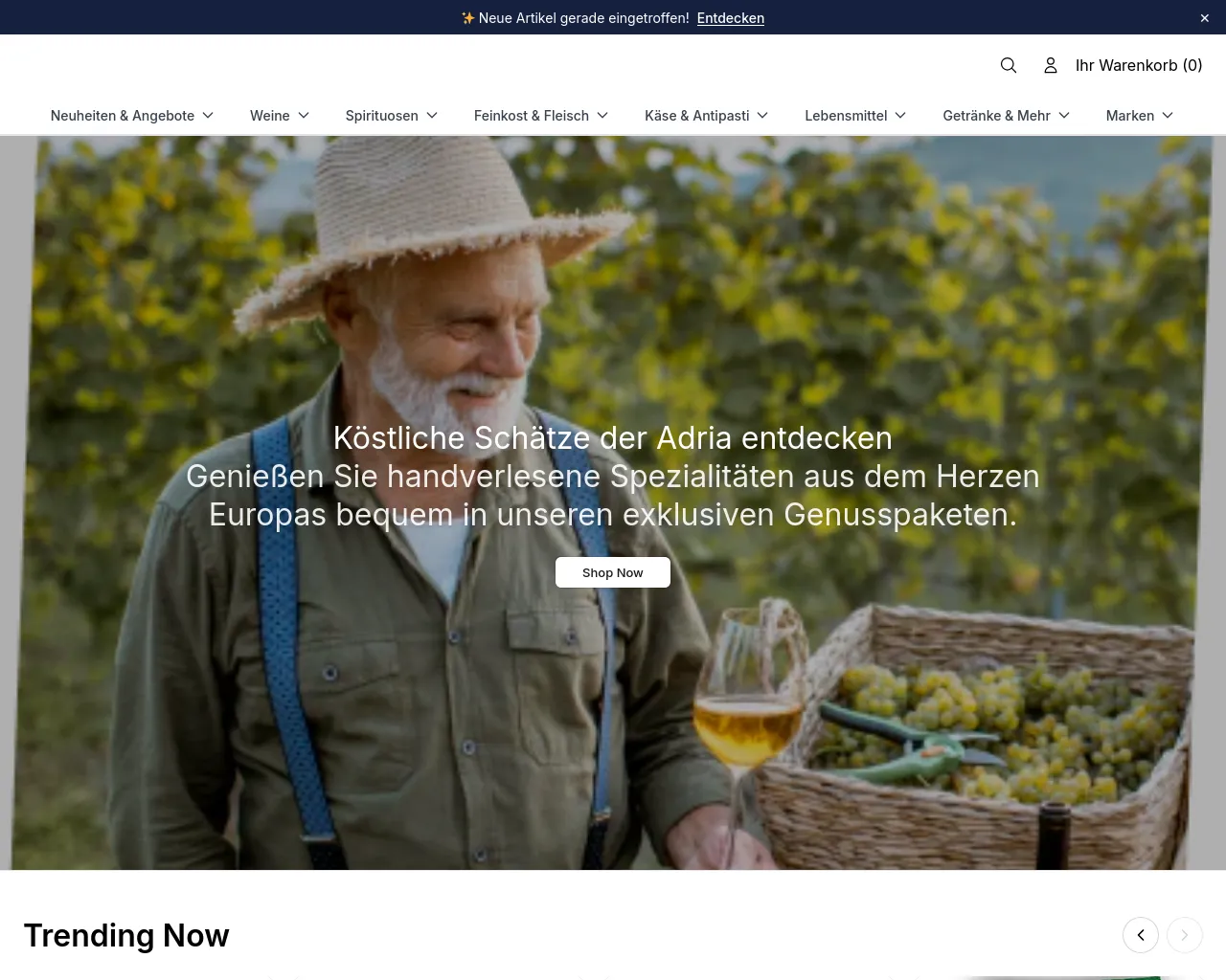 Screenshot of adriastoreonline.shop