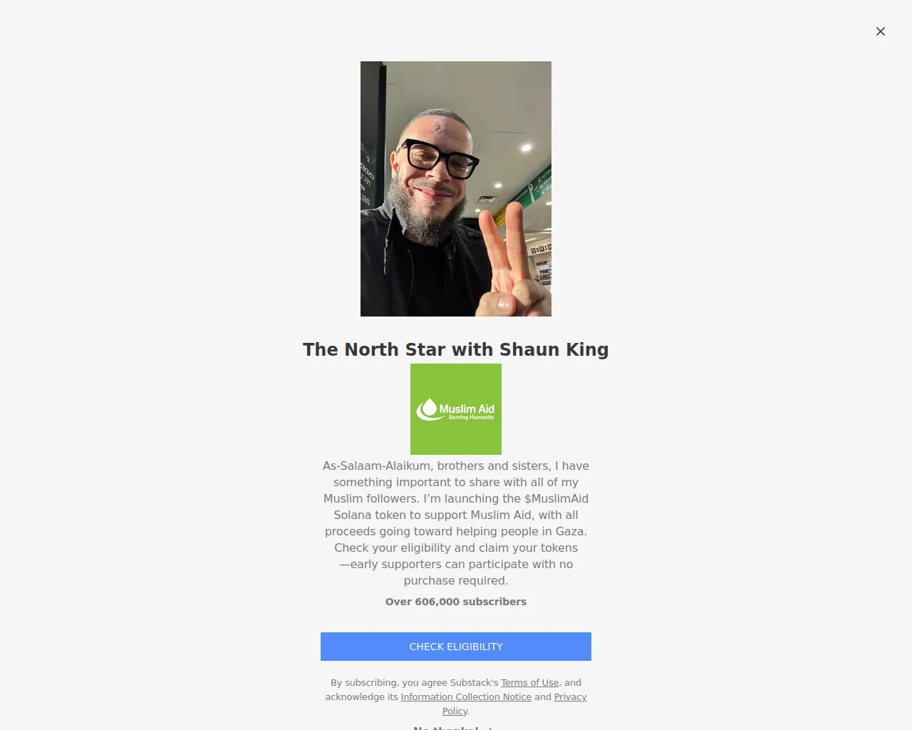 Screenshot of thenorthstars.us