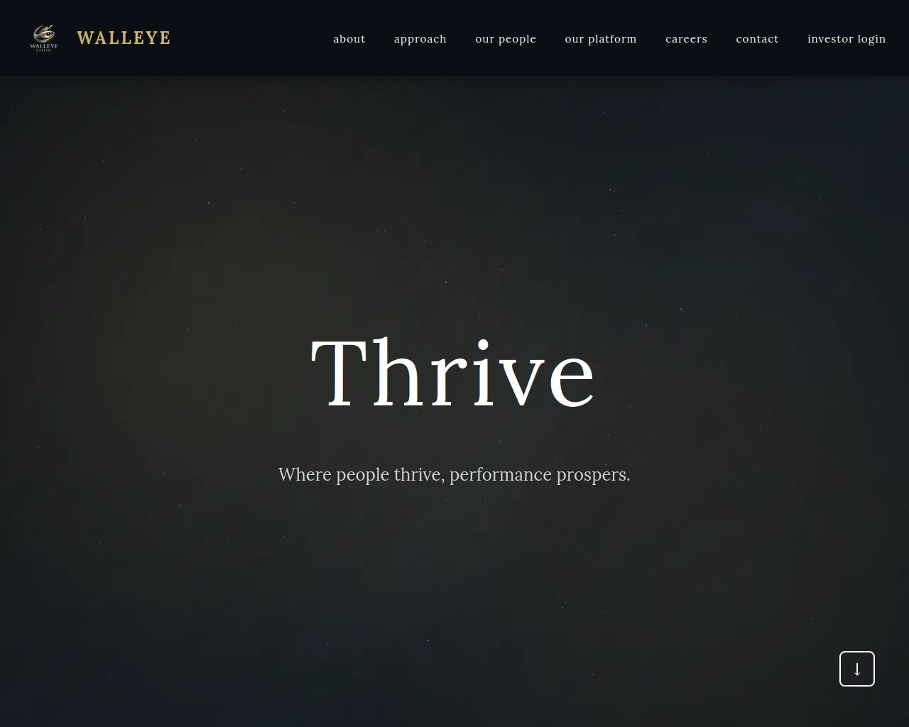 Screenshot of walleyeventure.xyz