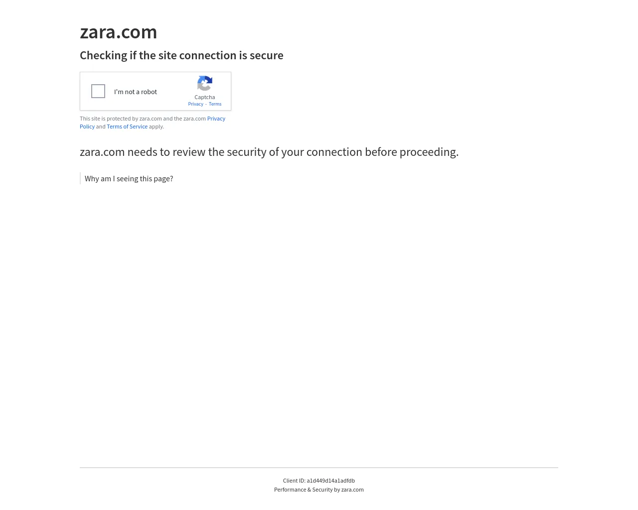 Screenshot of zara.workforce-career-network.com