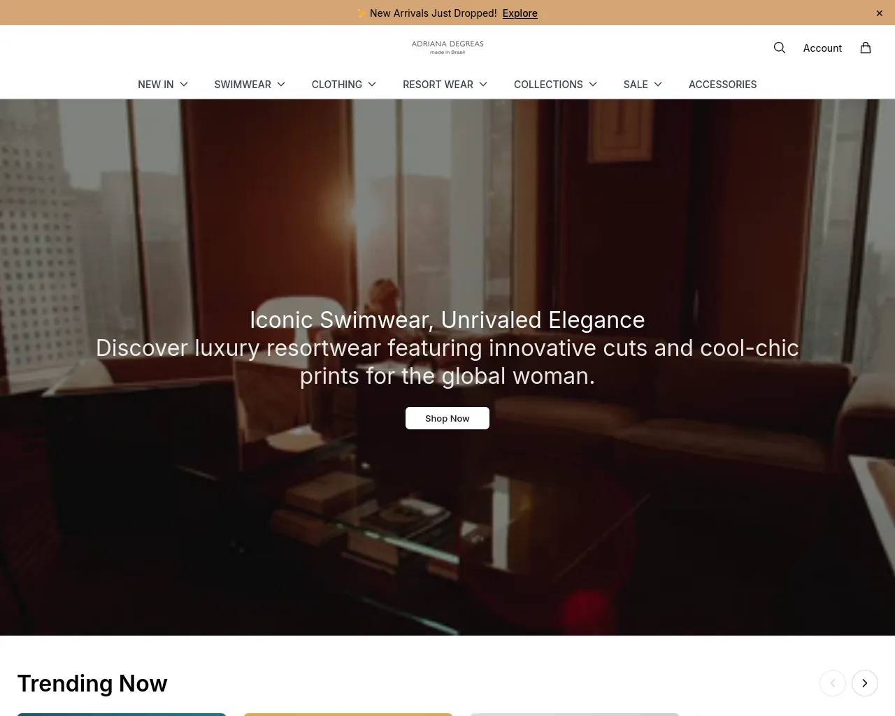 Screenshot of adrianadegreashq.shop
