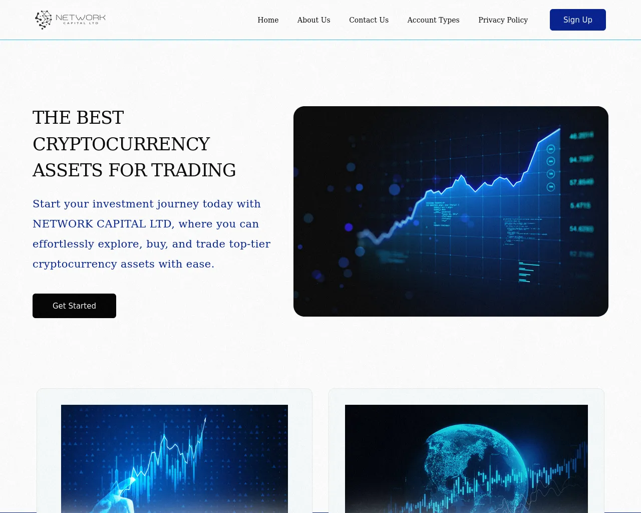 Screenshot of networkcapial.ltd