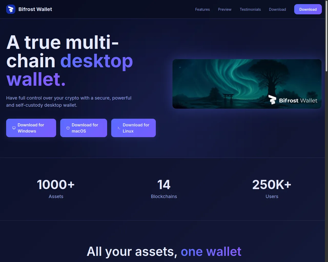 Screenshot of desktopwallet-installer.icu