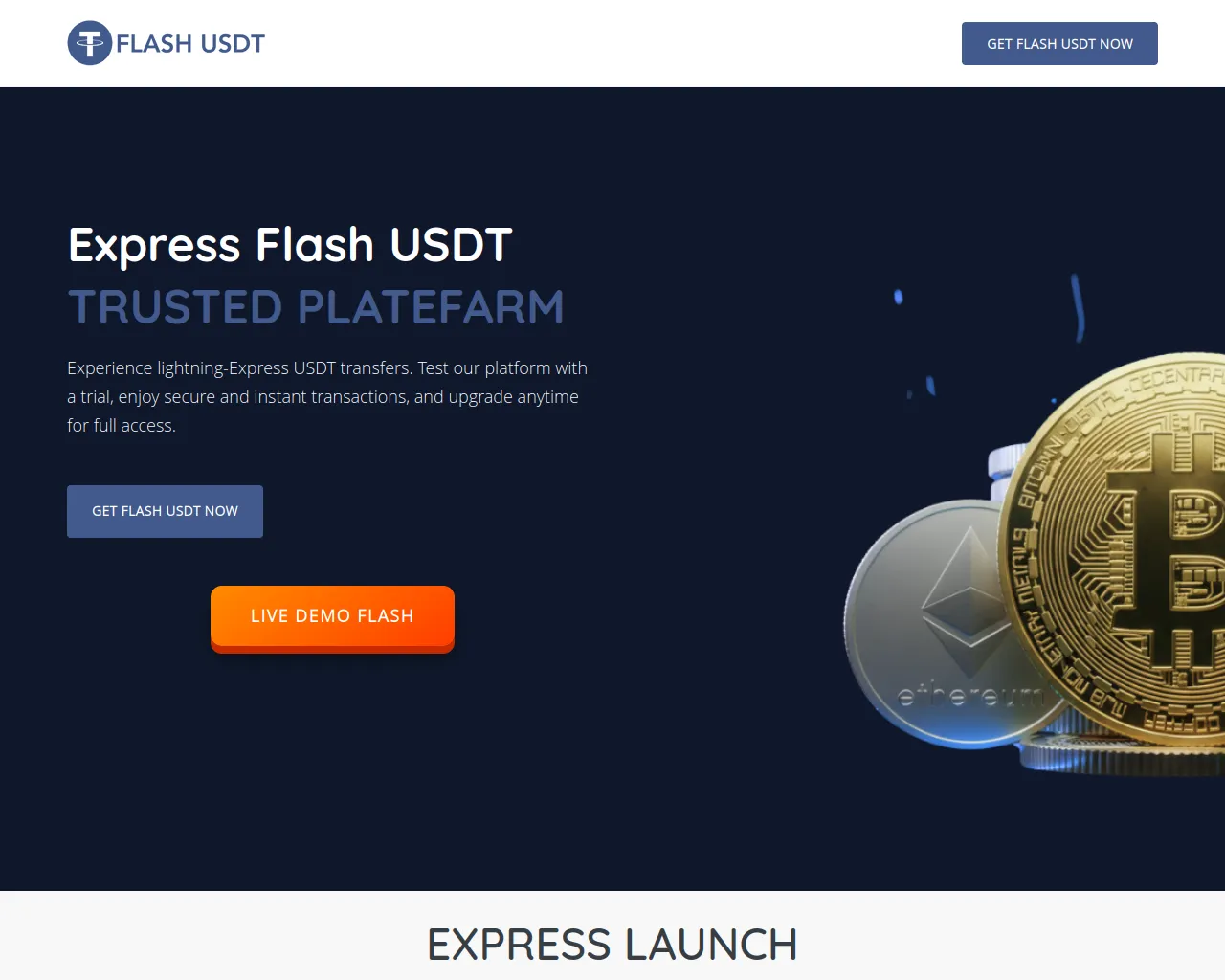 Screenshot of expressflashusdt.com