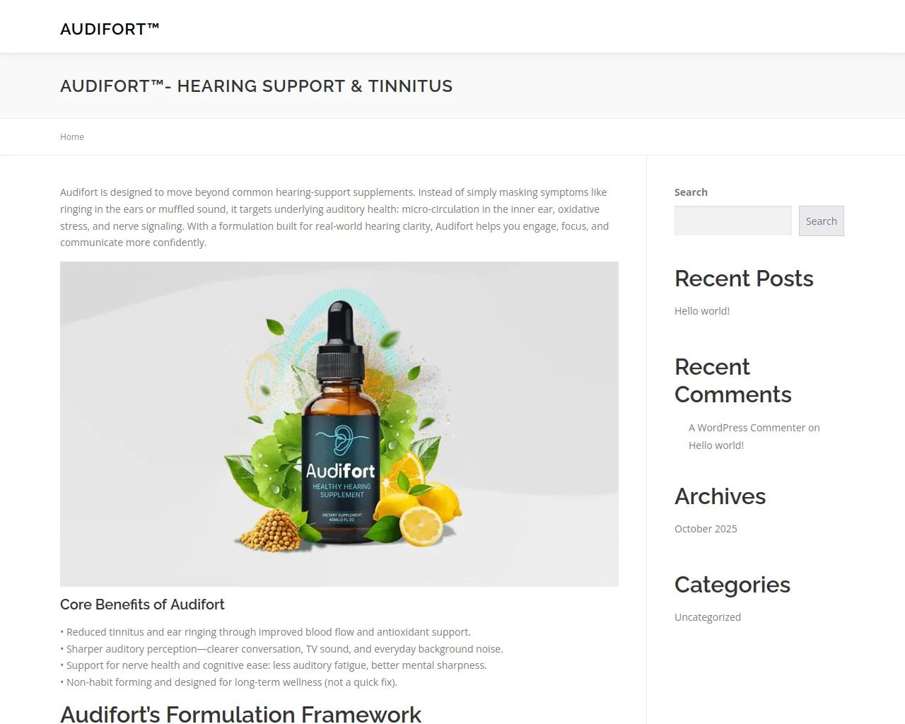 Screenshot of audifort-up.com