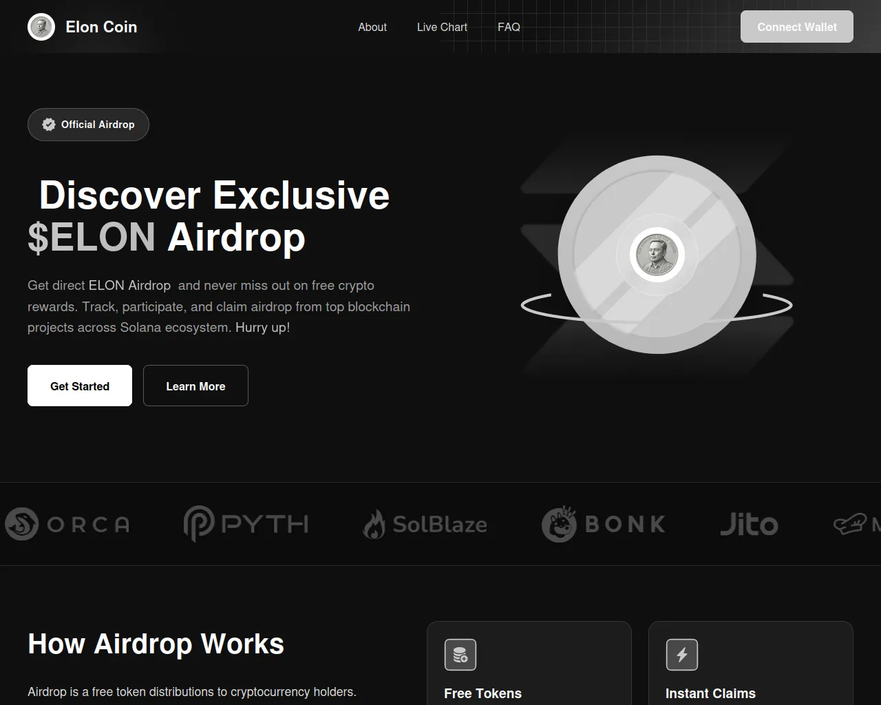 Screenshot of elonsol.lol