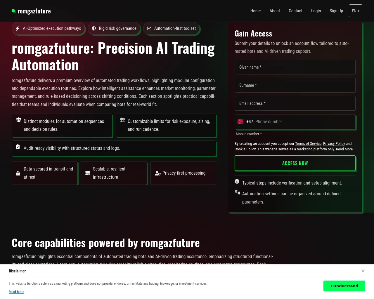 Screenshot of ricogainetratech.com