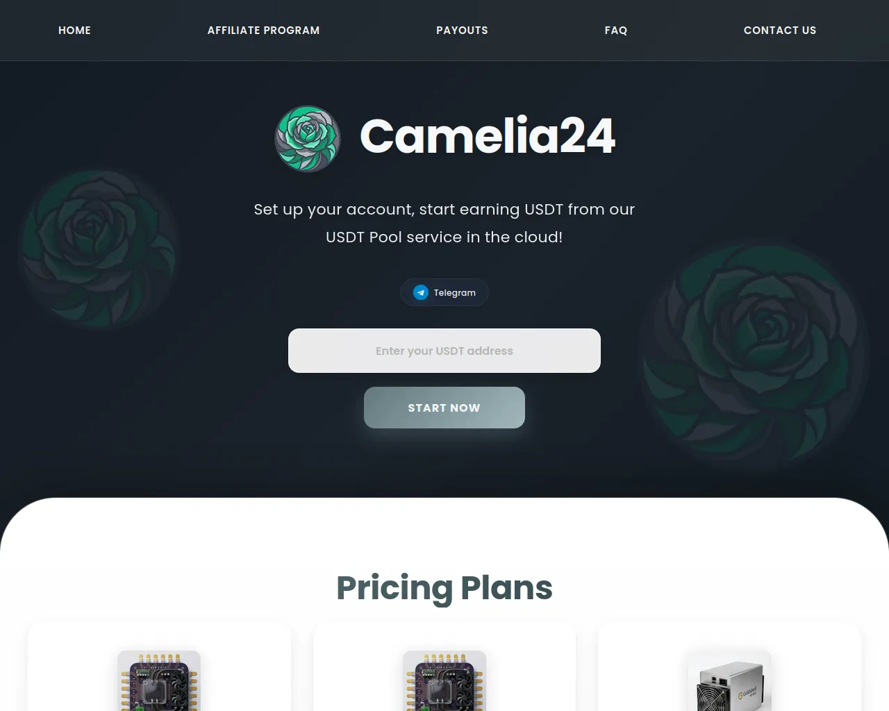 Screenshot of camelia24.vip