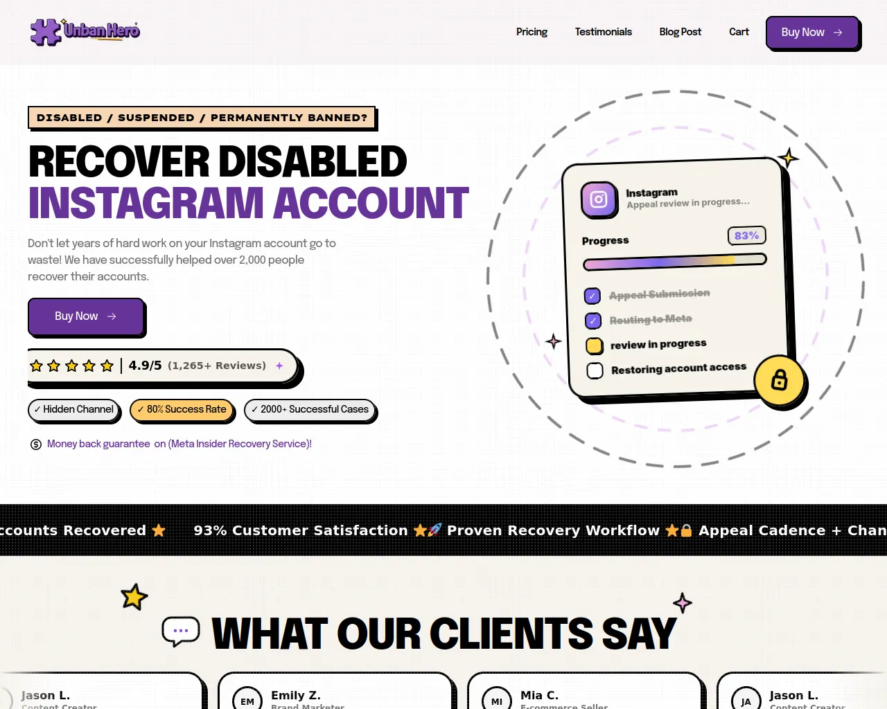 Screenshot of ig-recovery.com