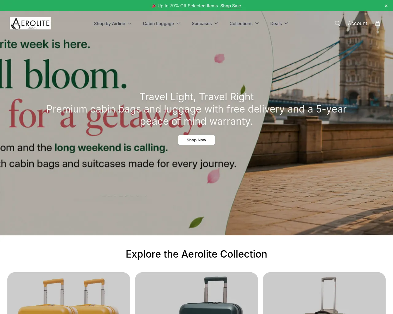 Screenshot of aeroliteofficial.shop