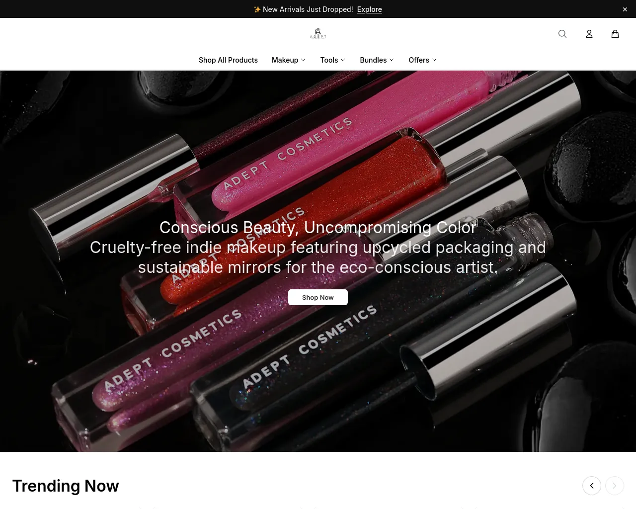 Screenshot of adeptcosmeticsstore.shop