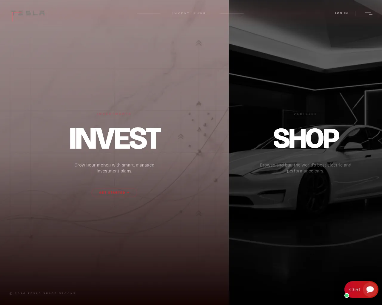 Screenshot of teslaspacestocks.com