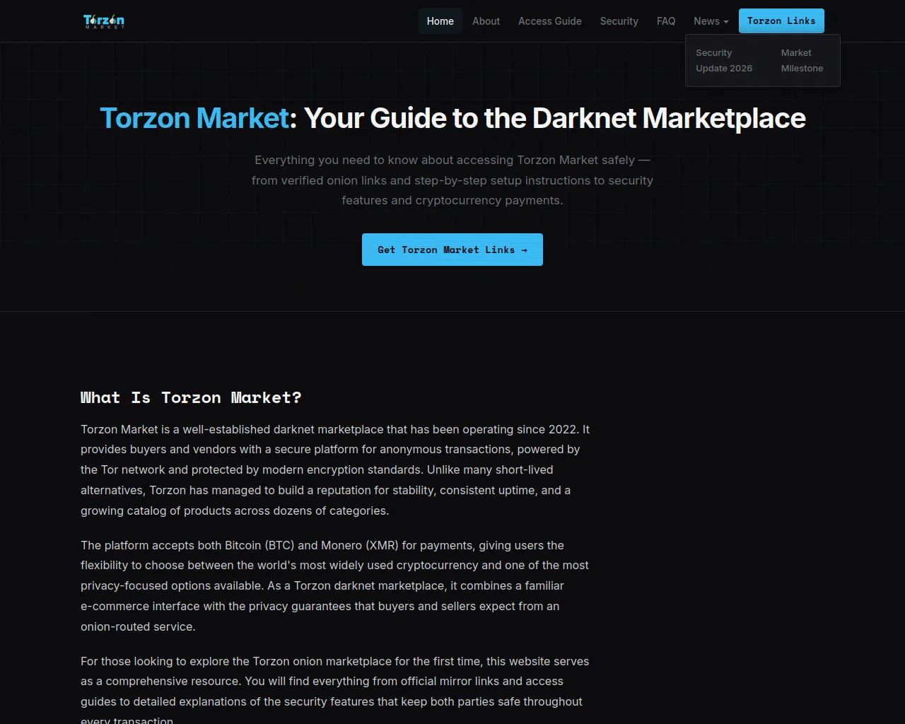 Screenshot of torzon.finance