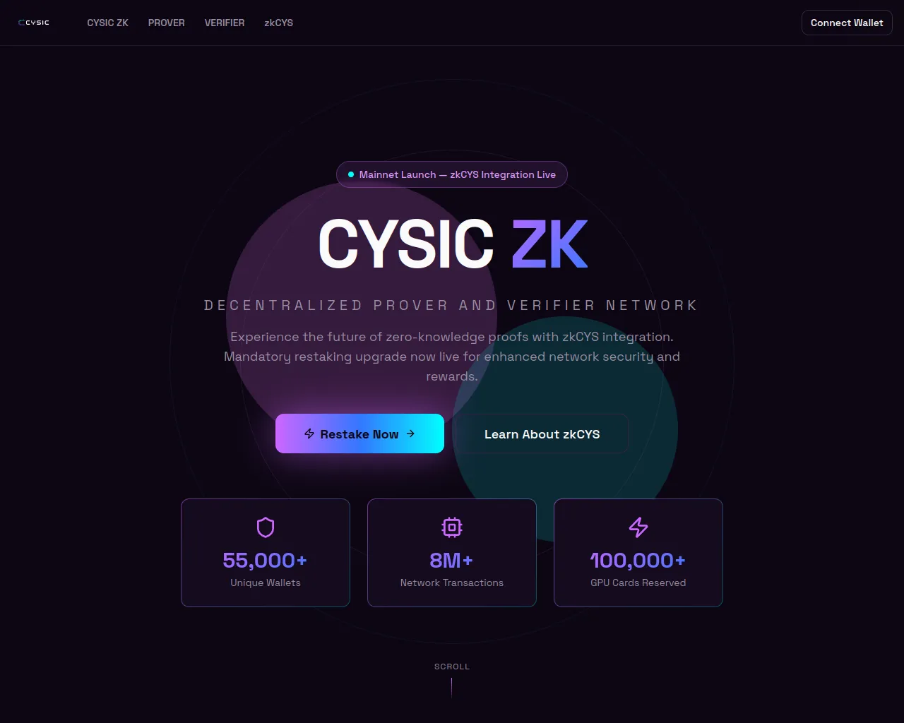 Screenshot of cysicrestake.xyz