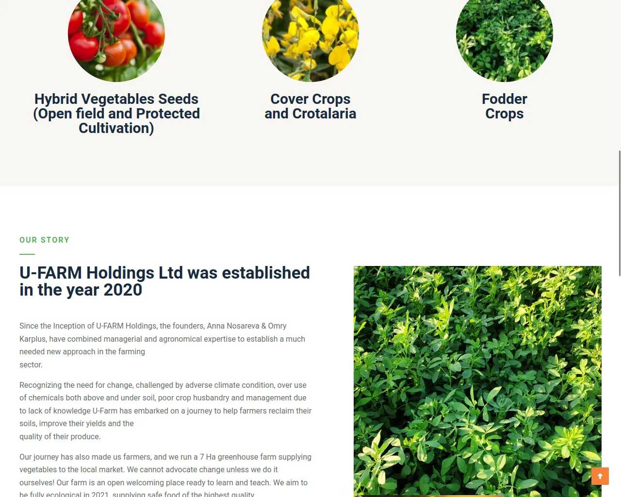 Screenshot of ufarm.biz