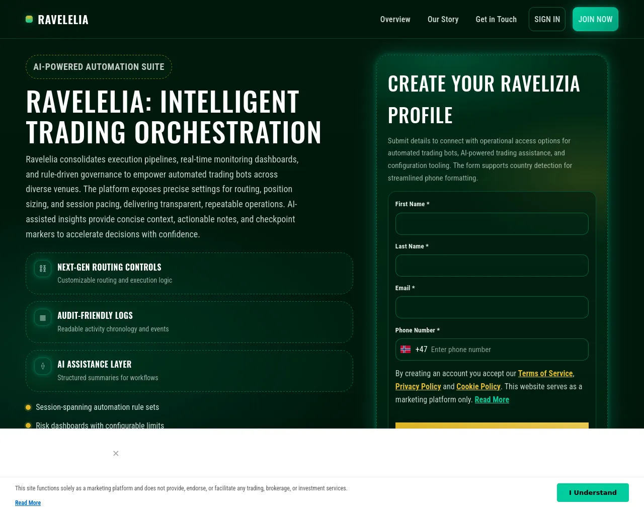 Screenshot of ravelizia.click