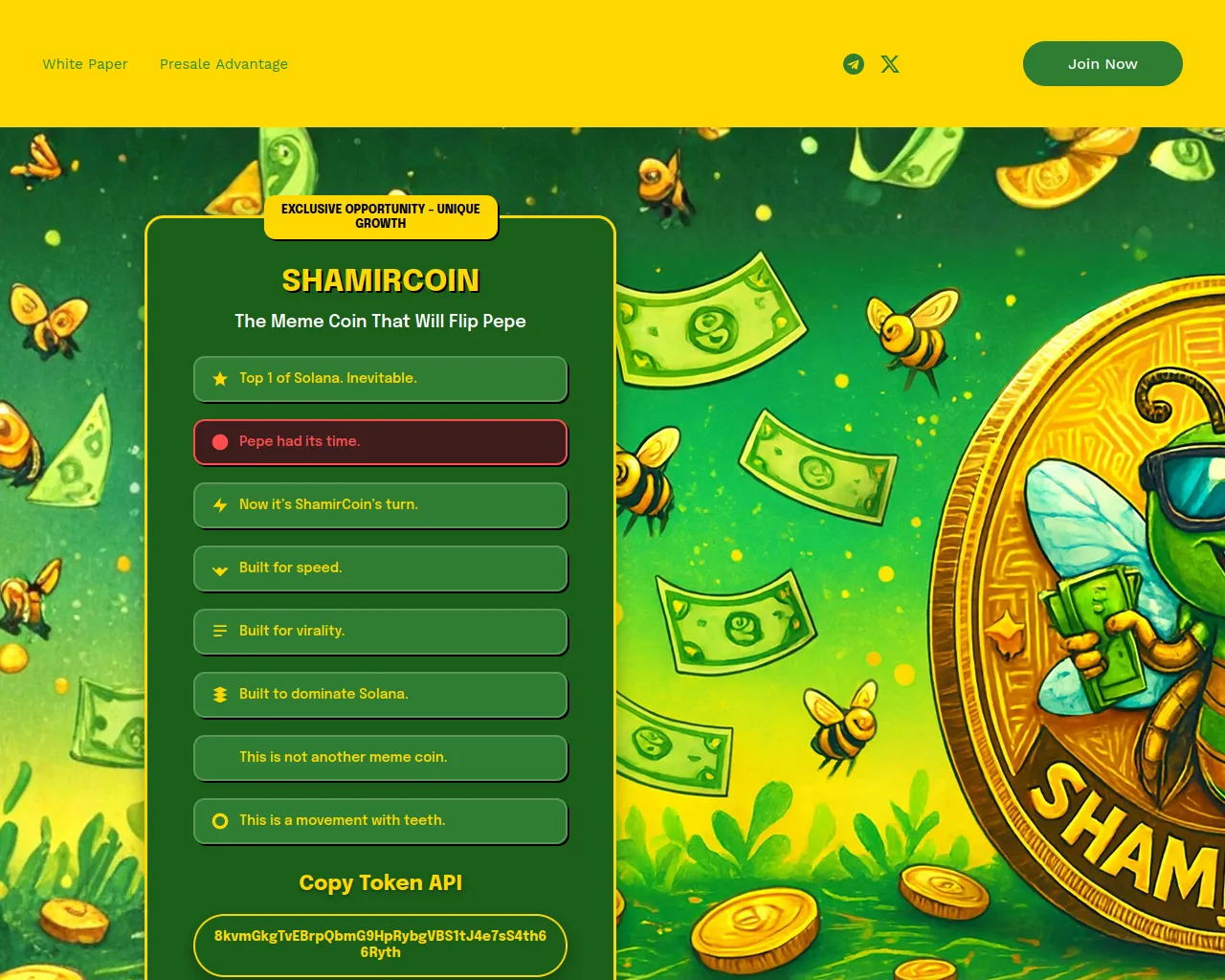 Screenshot of shamircoin.com